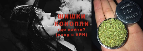 ешки Бородино