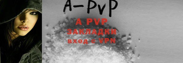 ешки Бородино