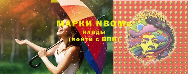ешки Бородино