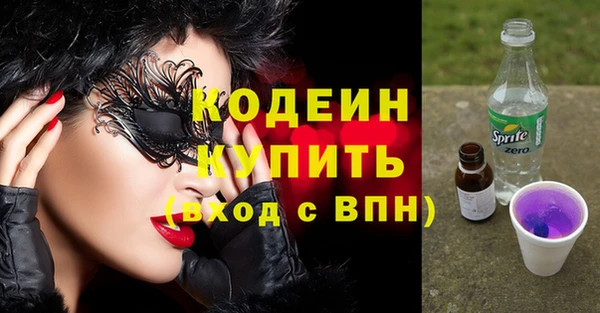 ешки Бородино