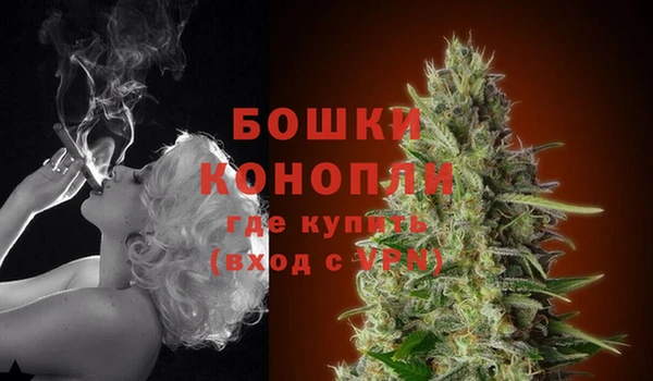 ешки Бородино